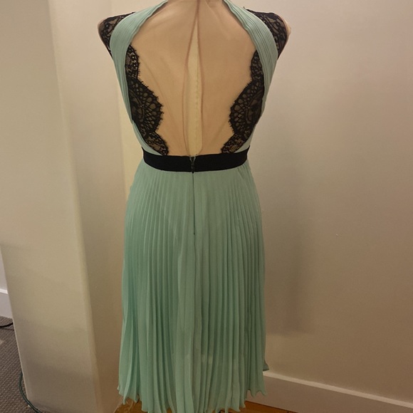 BCBG Ariane Pleated Dress with Eyelash Lace - Picture 4 of 7